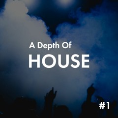 A Depth Of House #1