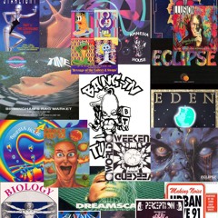 V-nom Mota Mix 11 Old Skool