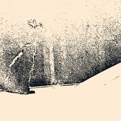 fotograf