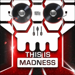 The Mad Scientist - This is Madness Pardonax (Promo mix)