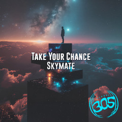 Skymate - Take Your Chance (Radio Edit)