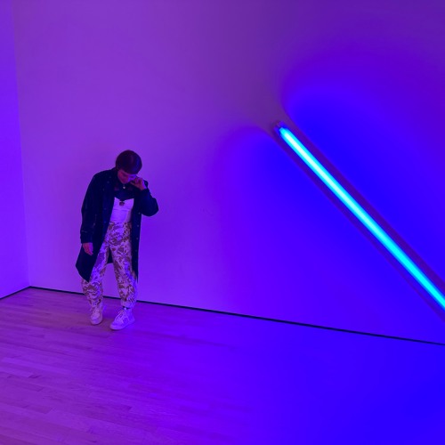 v_1
