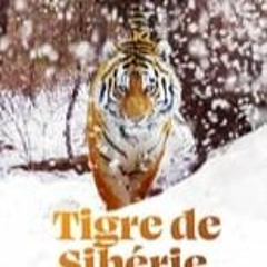 Tigre de Sibérie, seigneur sans frontières Full Movie (2023) English [12108114]
