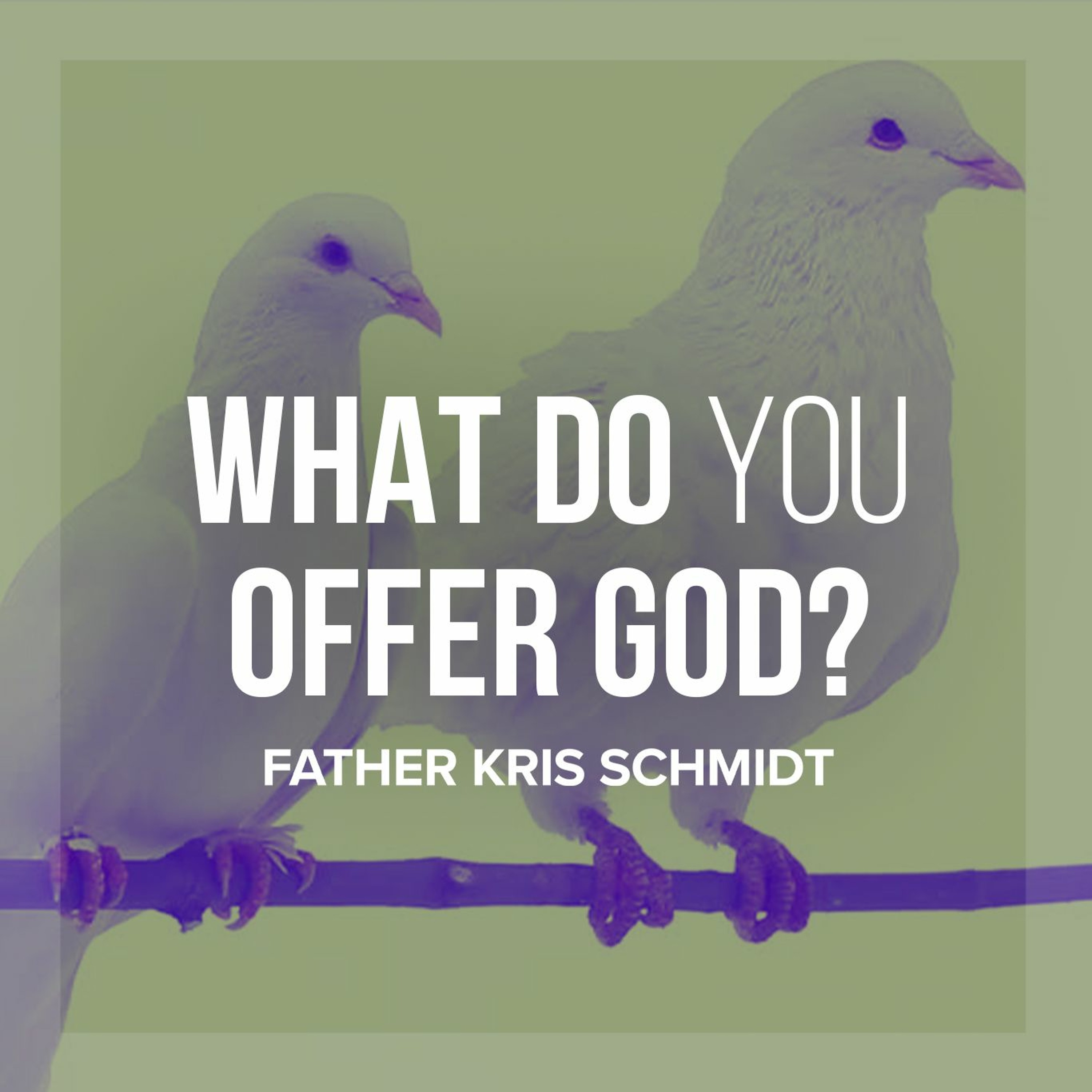 Fr. Kris Schmidt Homilies