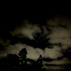 Wrath