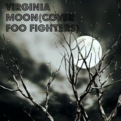 Foo Fighters Virginia Moon(Cover by Catherine Flox)