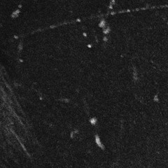 Can't Think straight (dunno) DEMO