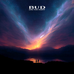 Phoenix - Lisztomania (Bud And The Night Remix)