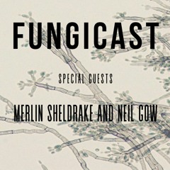 Fungicast: Merlin Sheldrake and Neil Gow