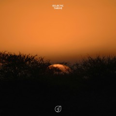 Eclectic - Thrive
