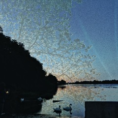 Mijn Zachtste Poëzie