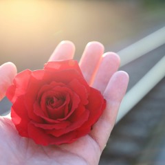 In Memory Of | EDM Non Copyright