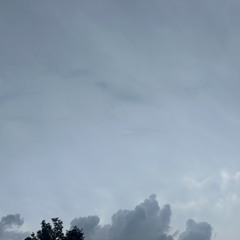 PHILLY X ATL X CYPHER - ft Gianna , Lil , Champ nd Taysia