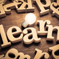 Learning A New Memory Strategy In Multiple Settings