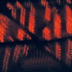 Vintsch & Bâta @Maschinerie x Vintsch Outdoor-Closing 05.10.2024