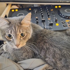 Open Decks @ The Levee 07.04.2025 (1st live set 👶)