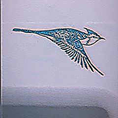 you & your brother / skyisthelimit