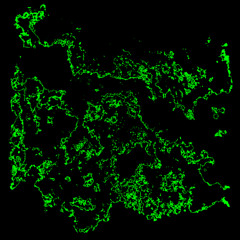 liveset_morphine_18_12_2024