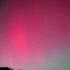 we cant all b friends