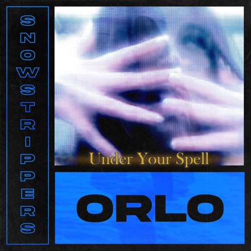 Ambient Garbage is From Portland Oregon