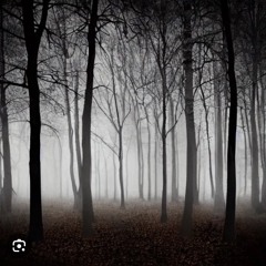 Rock woods (instrumental)