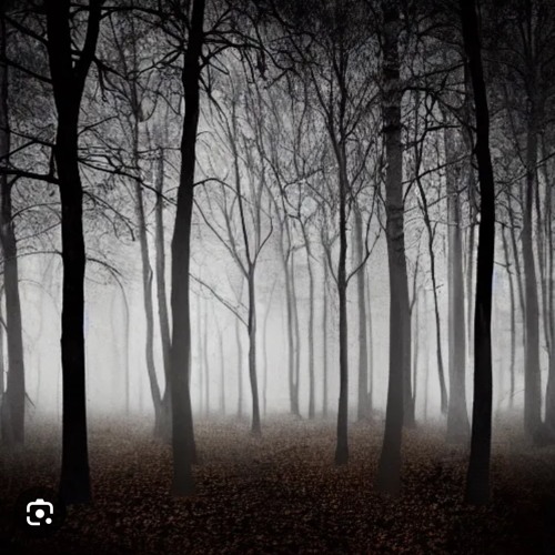 Rock woods (instrumental)