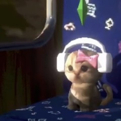 [𝗣𝗹𝗮𝘆𝗹𝗶𝘀𝘁] 진짜 힙스터는 본인을 햄스터라고 함.