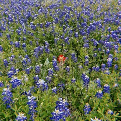 80D Afterset 7 - 3-23