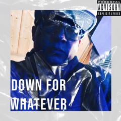 DOWN FOR WHATEVER (MC Ren remix)