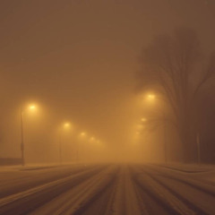 Frozen Reveries