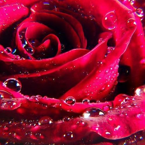 Stream I Wanna See You On The Floor By рќђ рќђћрќђ Listen Online For Free On