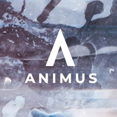 ANIMUS #2 by Jonas Kopp