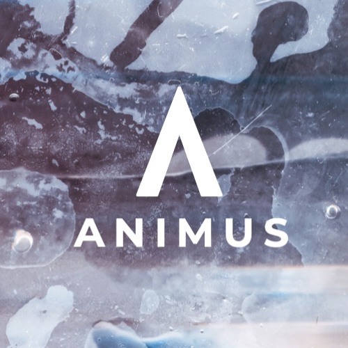 ANIMUS #2 by Jonas Kopp