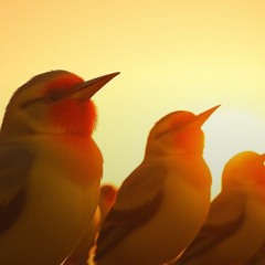 Lord I will Testify #2 Version song,-written-by-johnny-b-(remastered).mp3