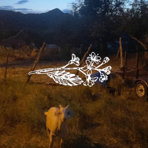 from your hands mix 9-1-24