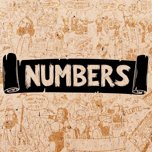 Difficult Passages in the Book of Numbers