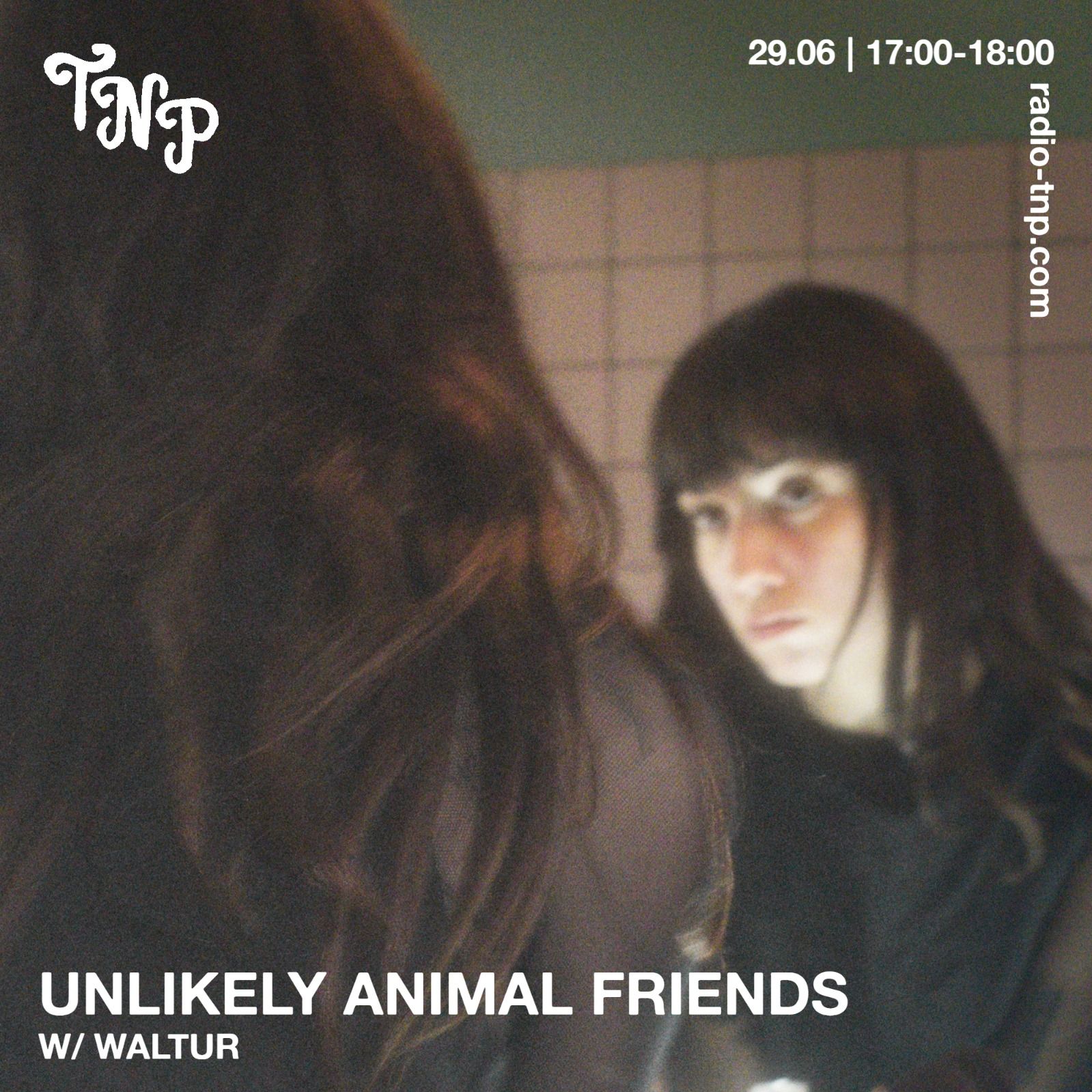 Unlikely Animal Friends w/ Waltur