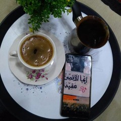 Haneen shnaiwer