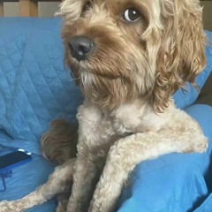 01 RICH nudy ft zeeball deep