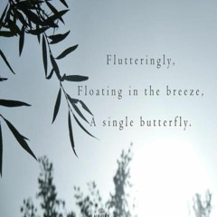 OneAmbient4 - Floating In The Breeze - A Single Butterfly (Naviarhaiku 350)