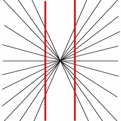 Peke zingt... Suzanne Vega "Straight lines"