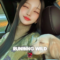 Running Wild (Sped Up) - Jin