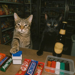 PUXA O LANÇA - DJ SUGA X ELK