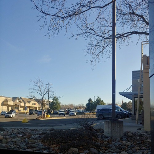 It's my party and I'll cry if I want to