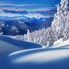 Cold of Winter
