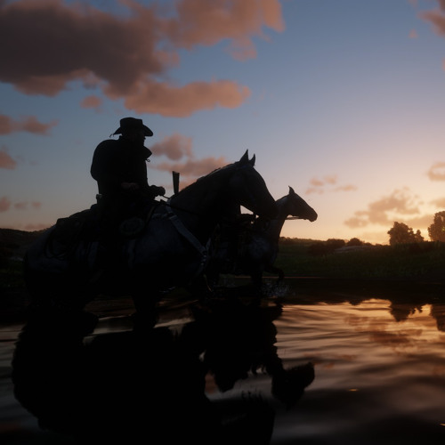 visting hours rdr2. hostage and escape theme