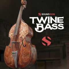 Oliver Codd - Take the Shot - Twine Bass (solo)