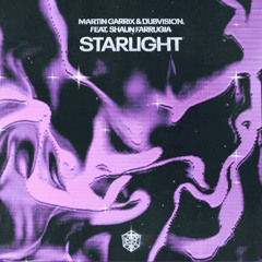 Martin Garrix & Dubvison -Starlight - VS.  Avicii -Heaven-
