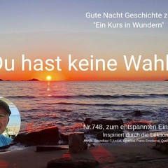 Nr.748 Du hast keine Wahl