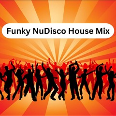 Funky Nu-Disco House Mix ( February 2025 )
